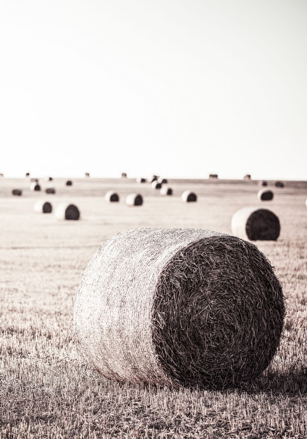 Rustic Hay Bale Plakat - Posterbox.no