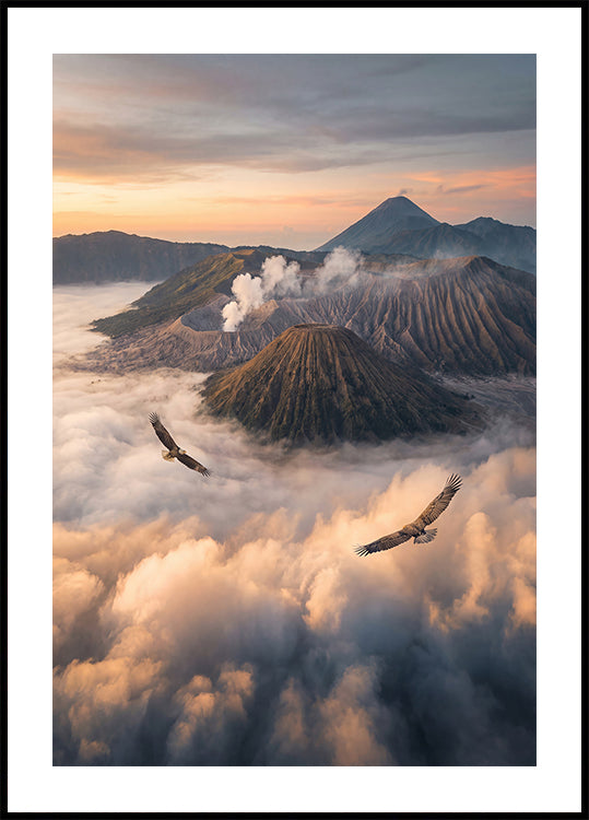 Eagles Fly Free Plakat