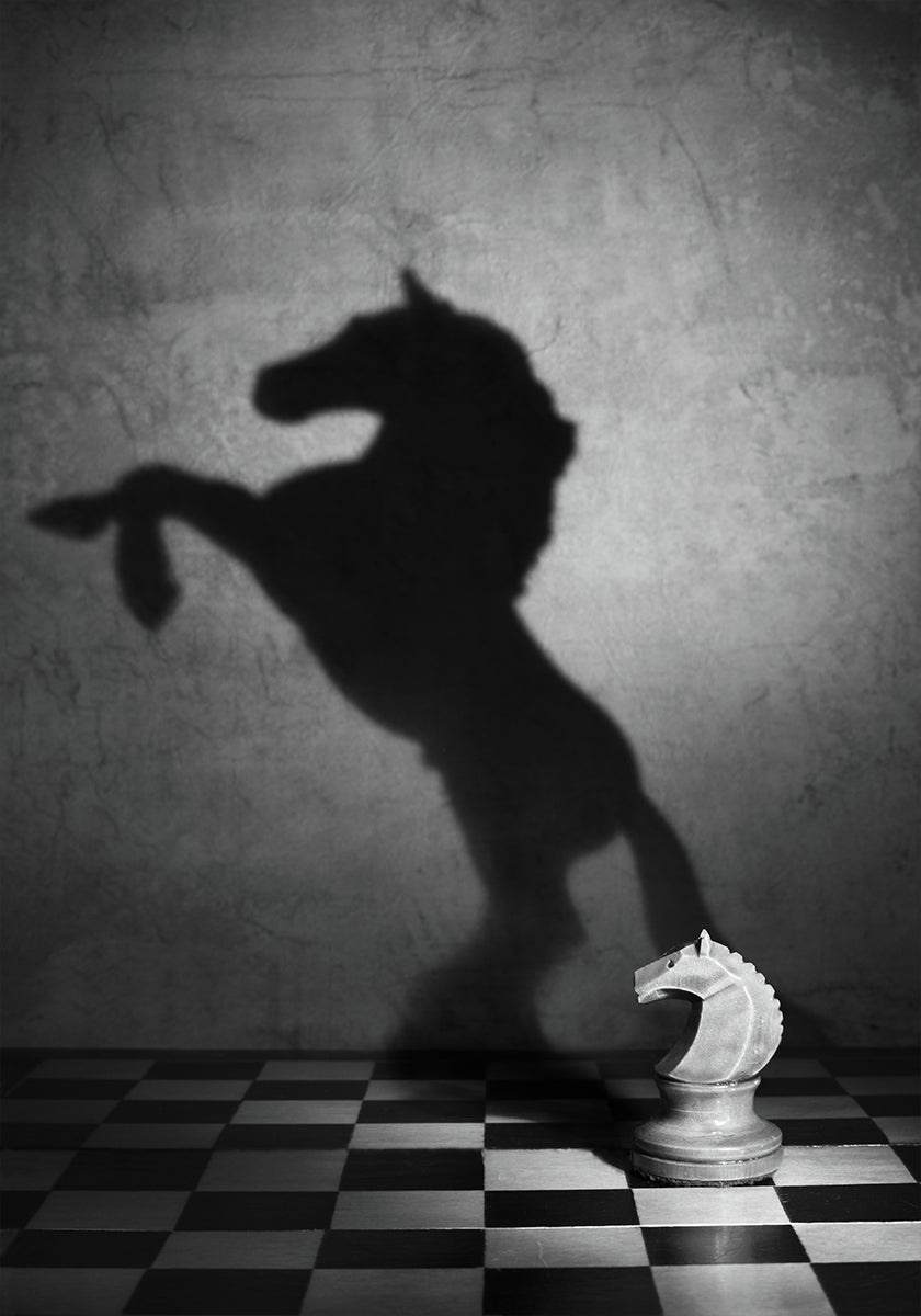 The soul of a mustang Plakat