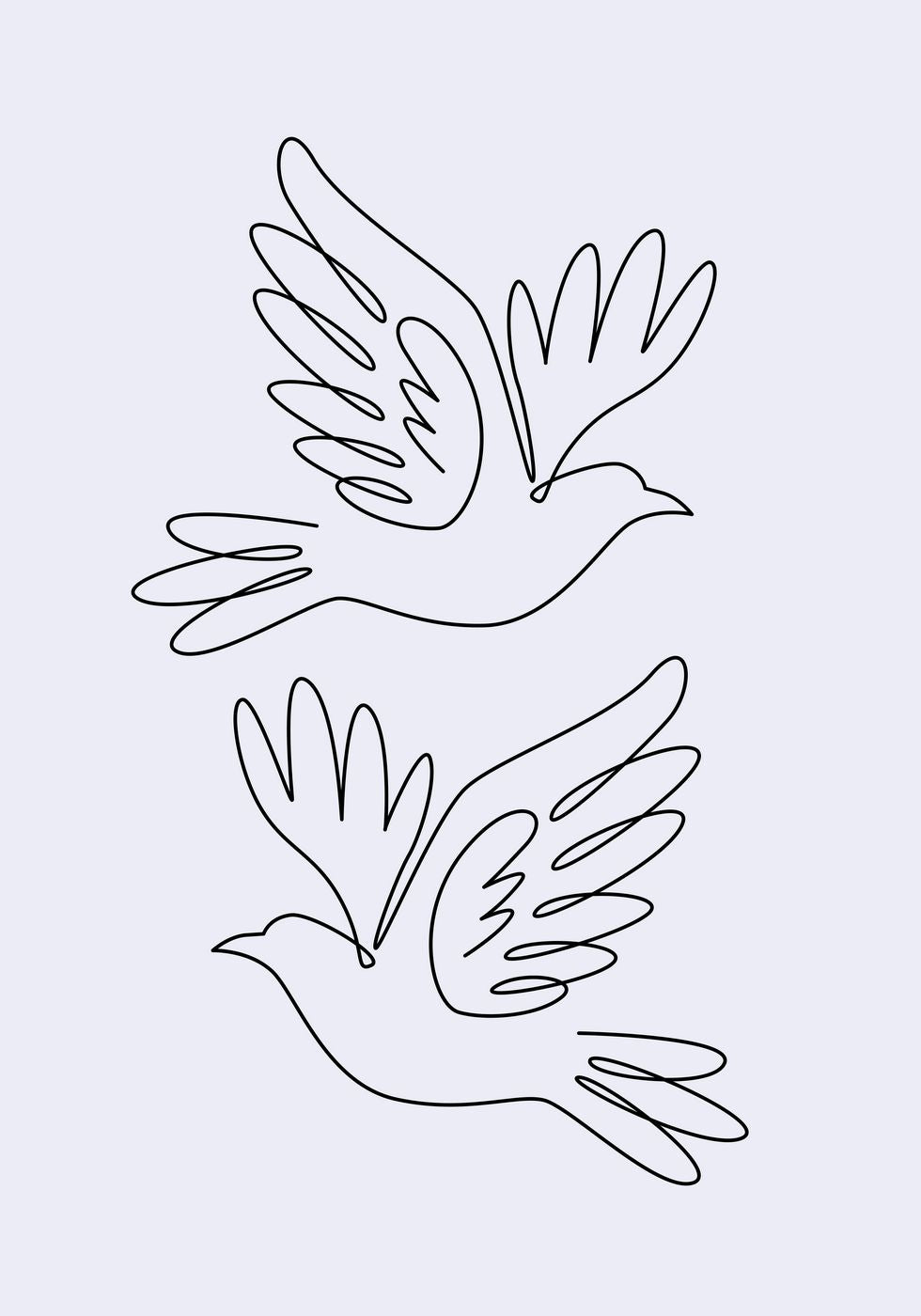 Doves Line Drawing Plakat - Posterbox.no