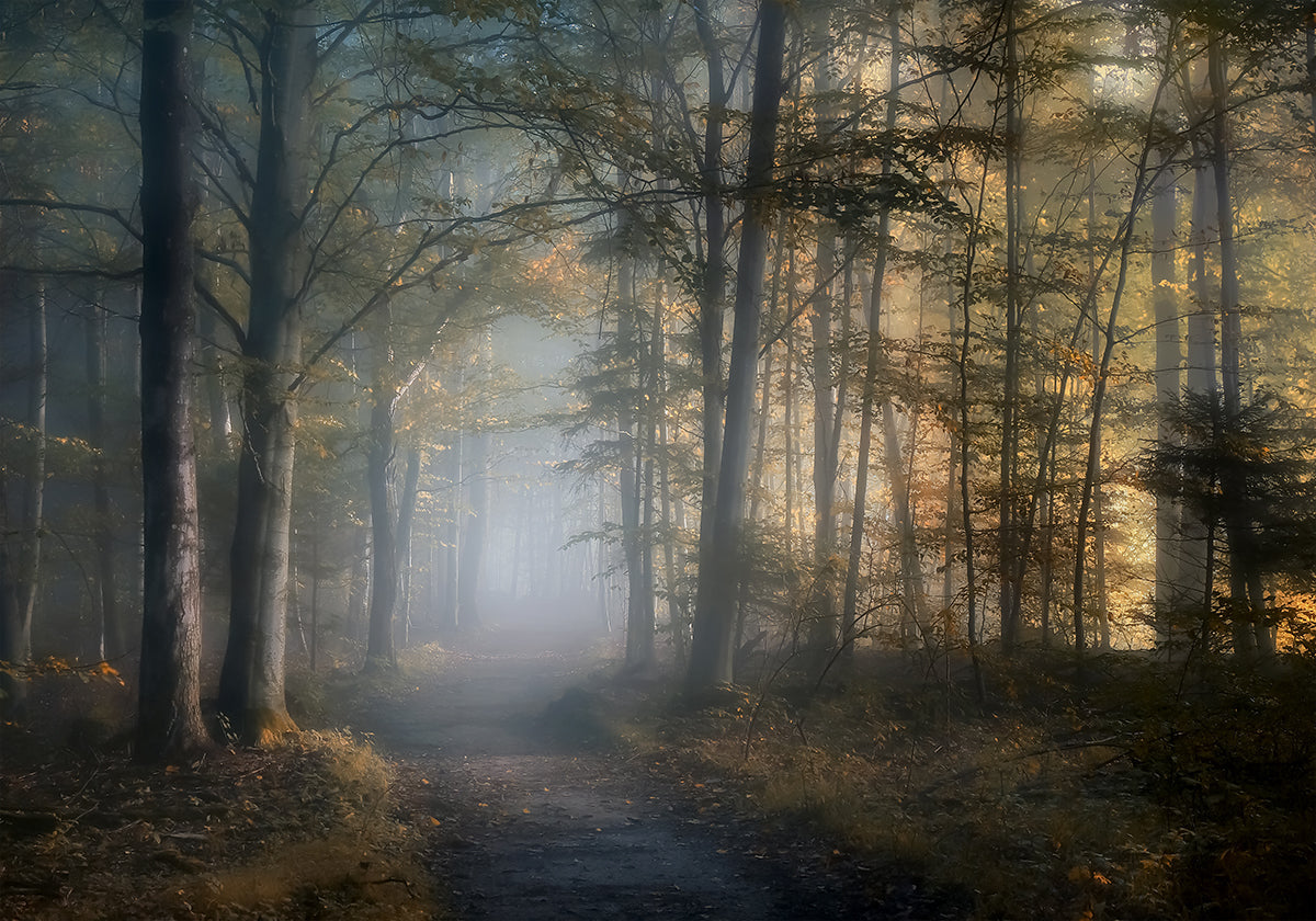 autumn symphony Plakat