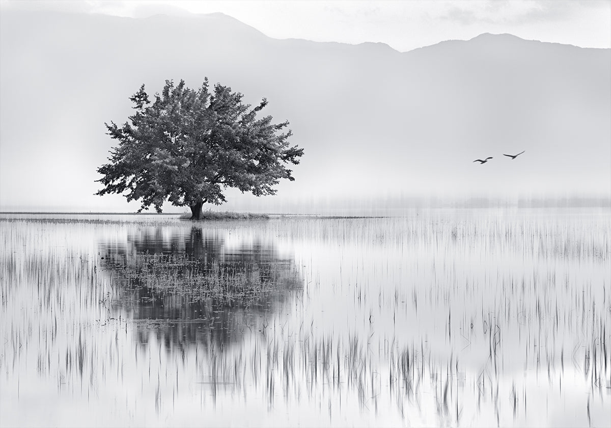 Spring Mirror Plakat