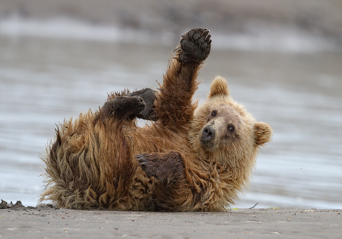 High Five
