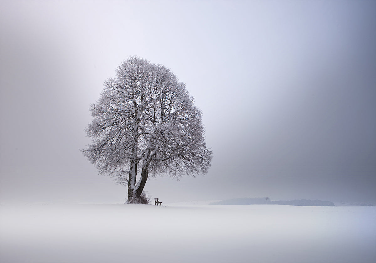 Winter light Plakat