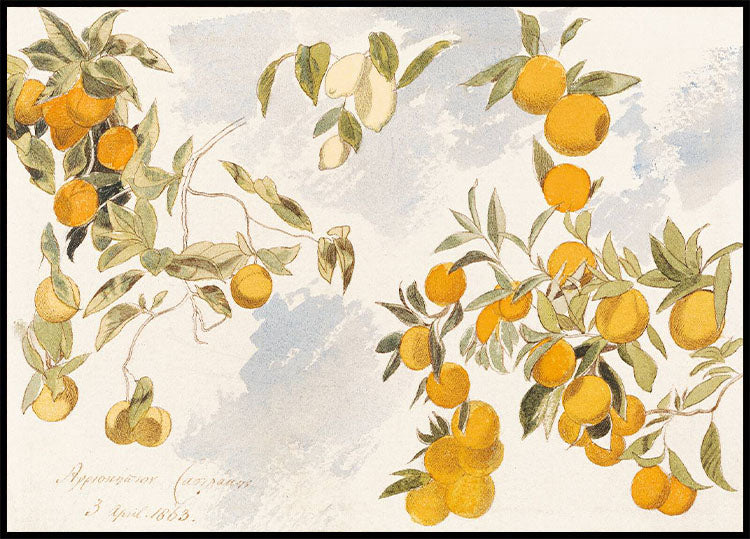 Fruit Trees Plakat by Edward Lear - Posterbox.no