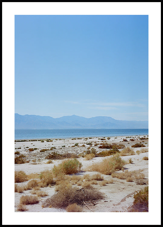 Bombay Beach Spring II Plakat