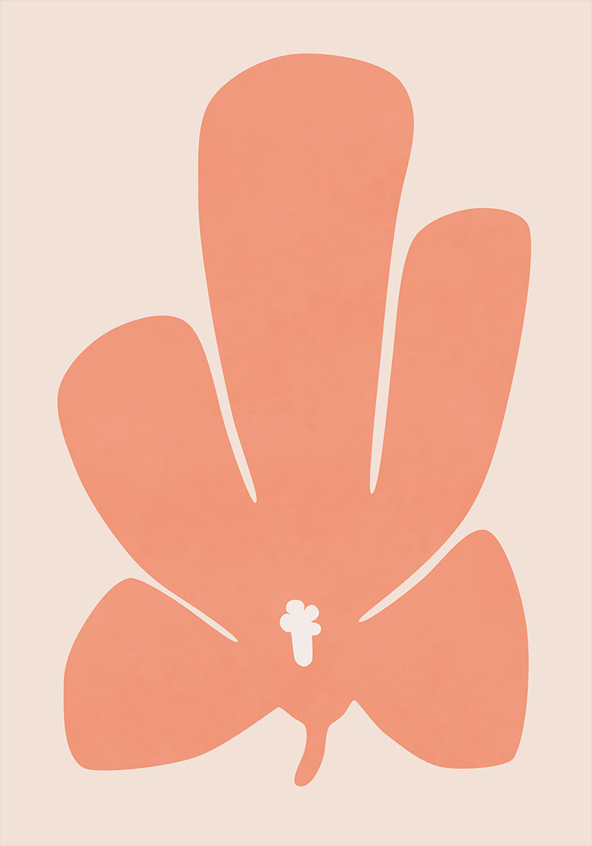 Coral Tulip Flower Plakat