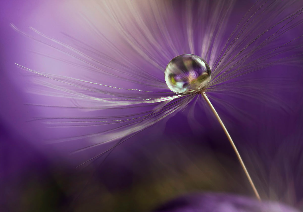 In shades of purple