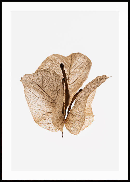 Gilded Pause Plakat