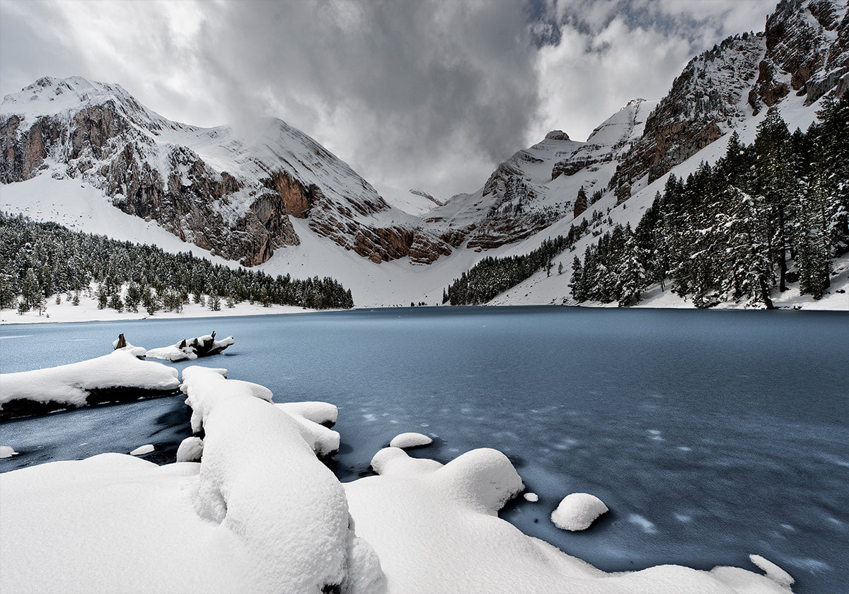 Last snowfall (La Basa la Mora) Plakat