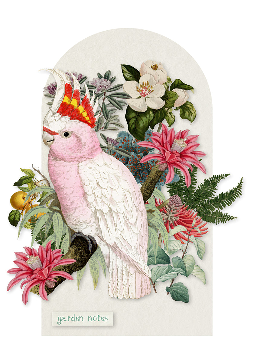 Inca Cockatoo - Collage Remix Plakat