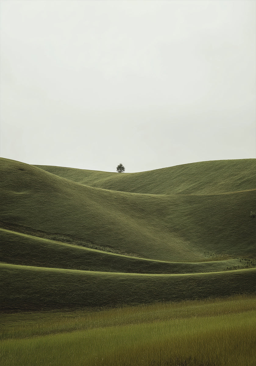 Foggy Green Hill Plakat