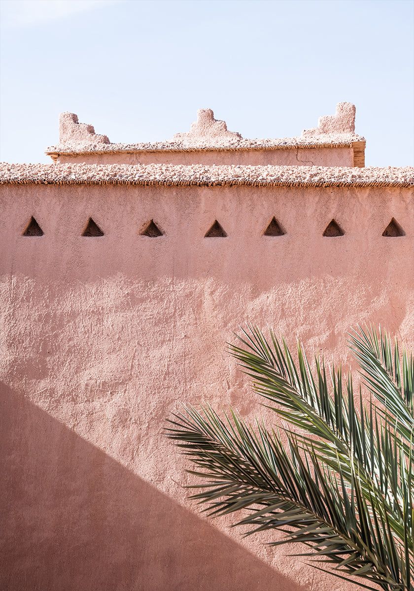 Palm and pink building Plakat