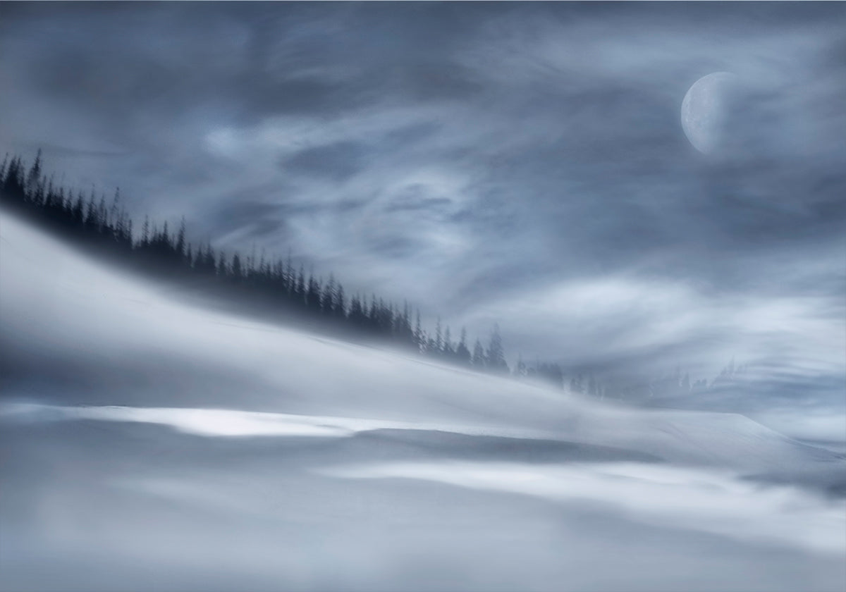 Winter night Plakat
