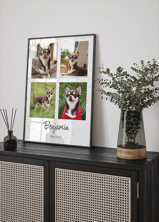 Pet Photo Collage Personal Plakat