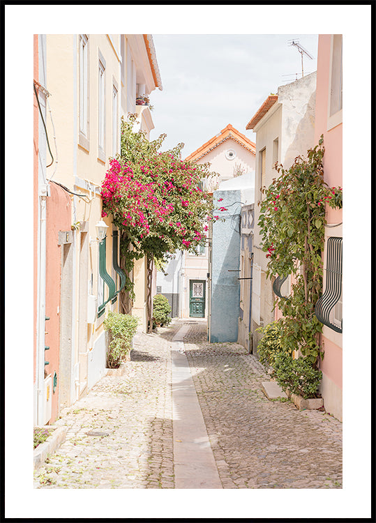 Portugese Street Plakat