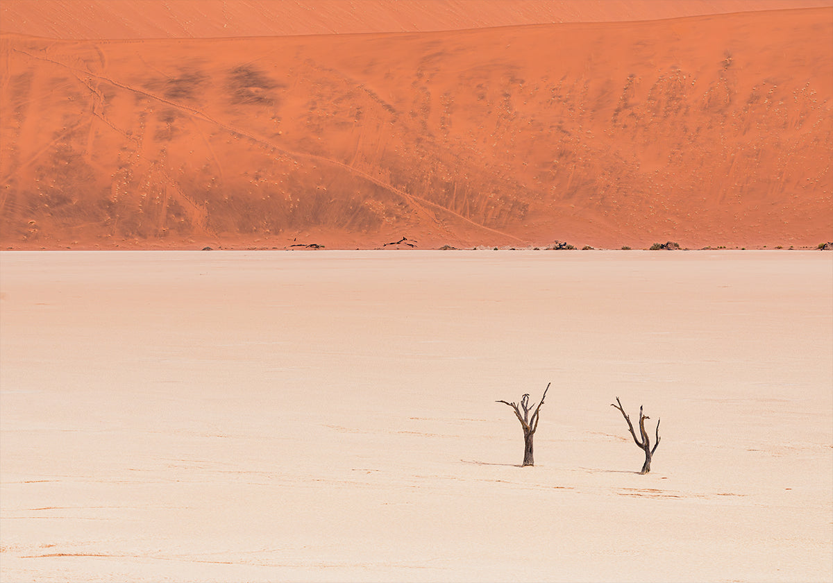 Desert's textures Plakat