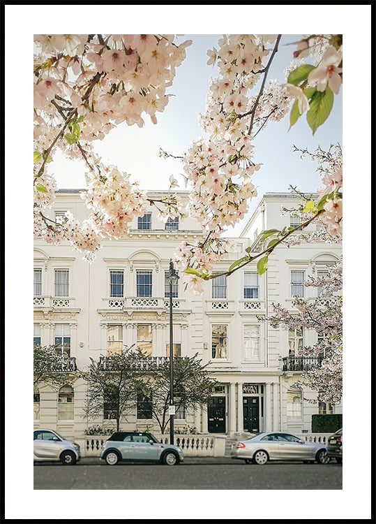 Nottinghillbloom Ratioiso Plakat