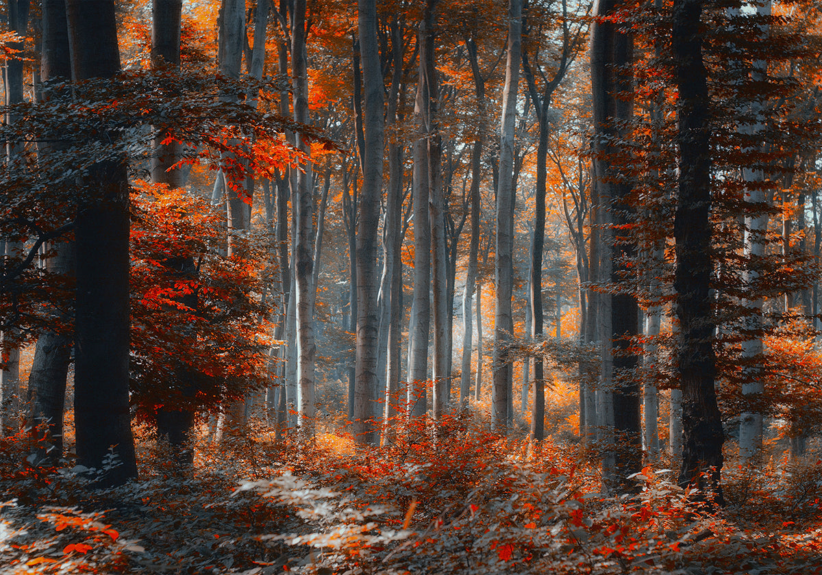 Painting Forest Poster