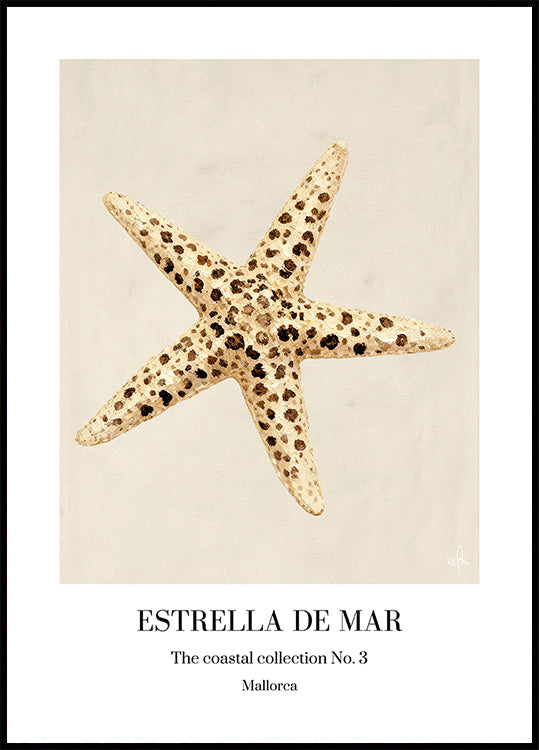 Estrella De Mar Plakat
