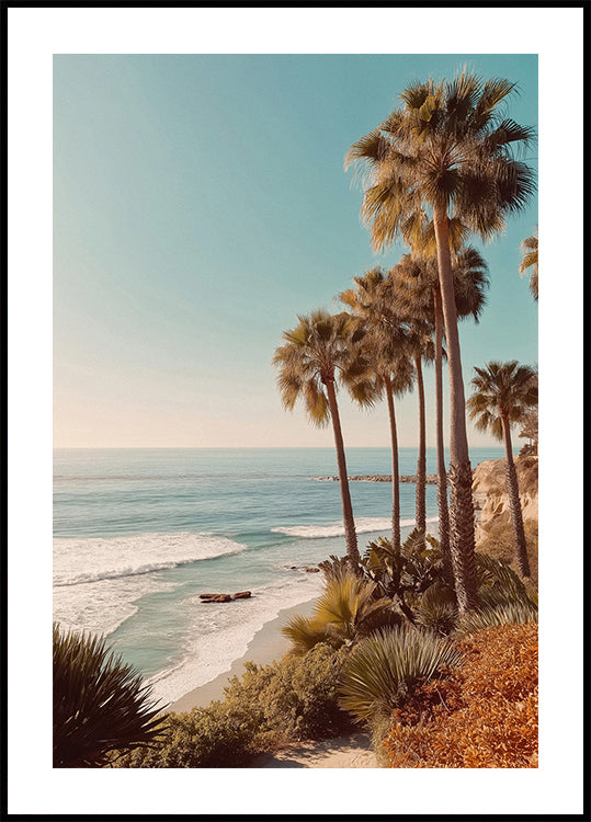 Palm Trees with Blue Sky Plakat