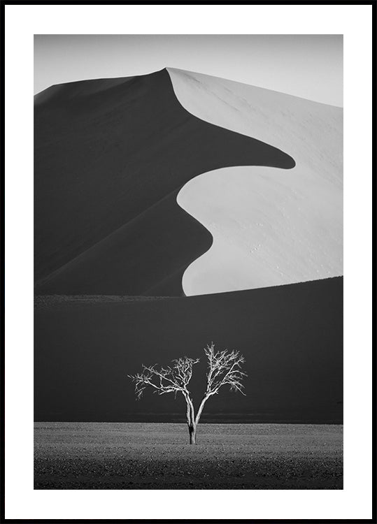 Light & shadow Plakat