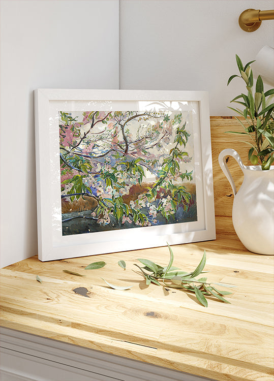 Cherry Blossoms In Spring Plakat