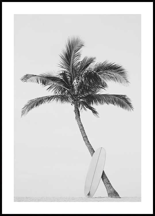 Palm Surfboard Plakat