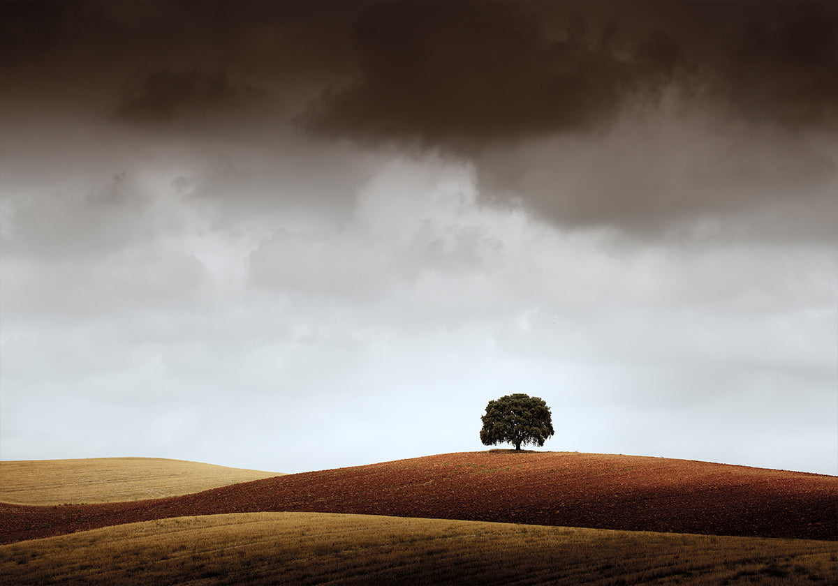 Tuve Que Pararme al Verla Plakat