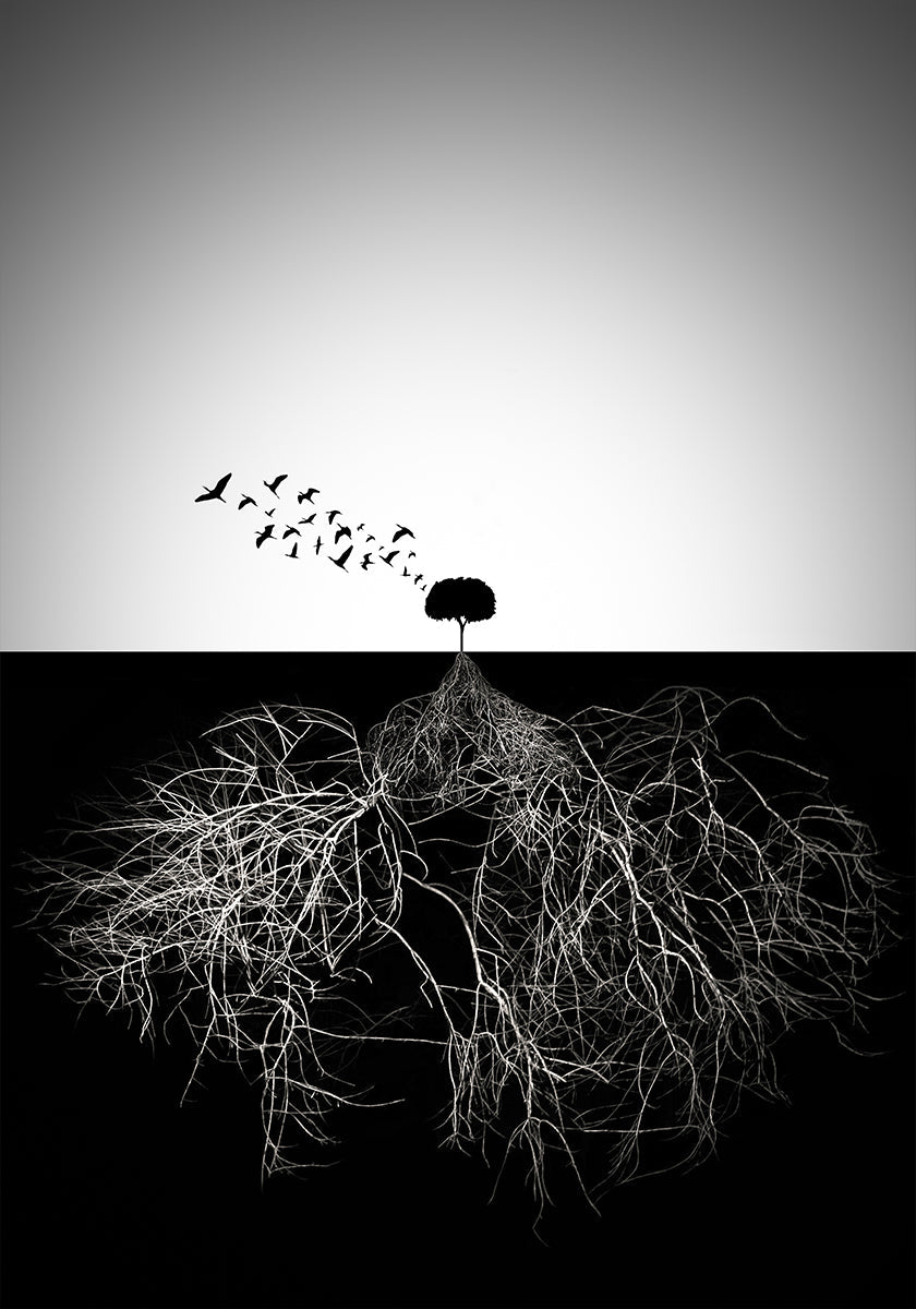 Do not judge according to appearance Plakat