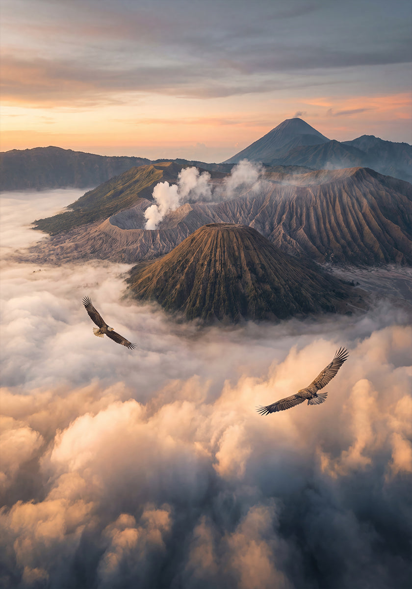 Eagles Fly Free Plakat