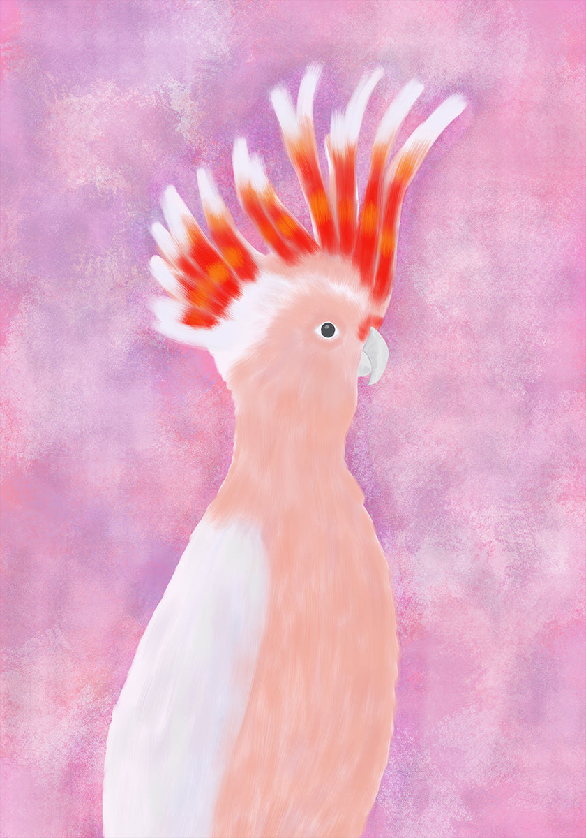 Pink Cocatoo Bird Plakat