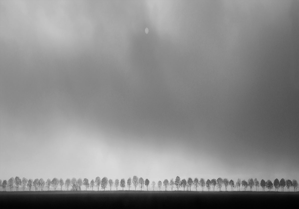 Polderlandscape Plakat