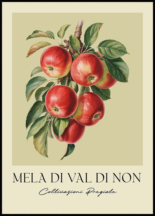 Mela Di Val Di Non Plakat