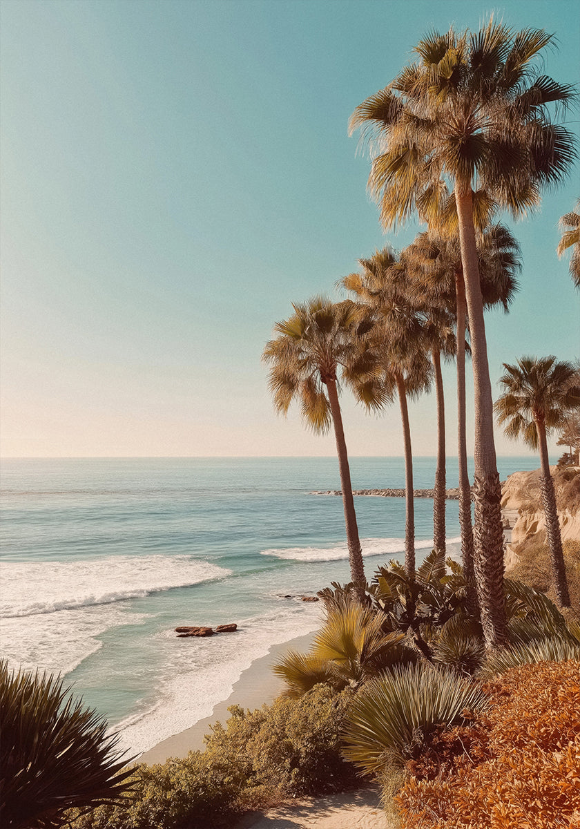 Palm Trees with Blue Sky Plakat