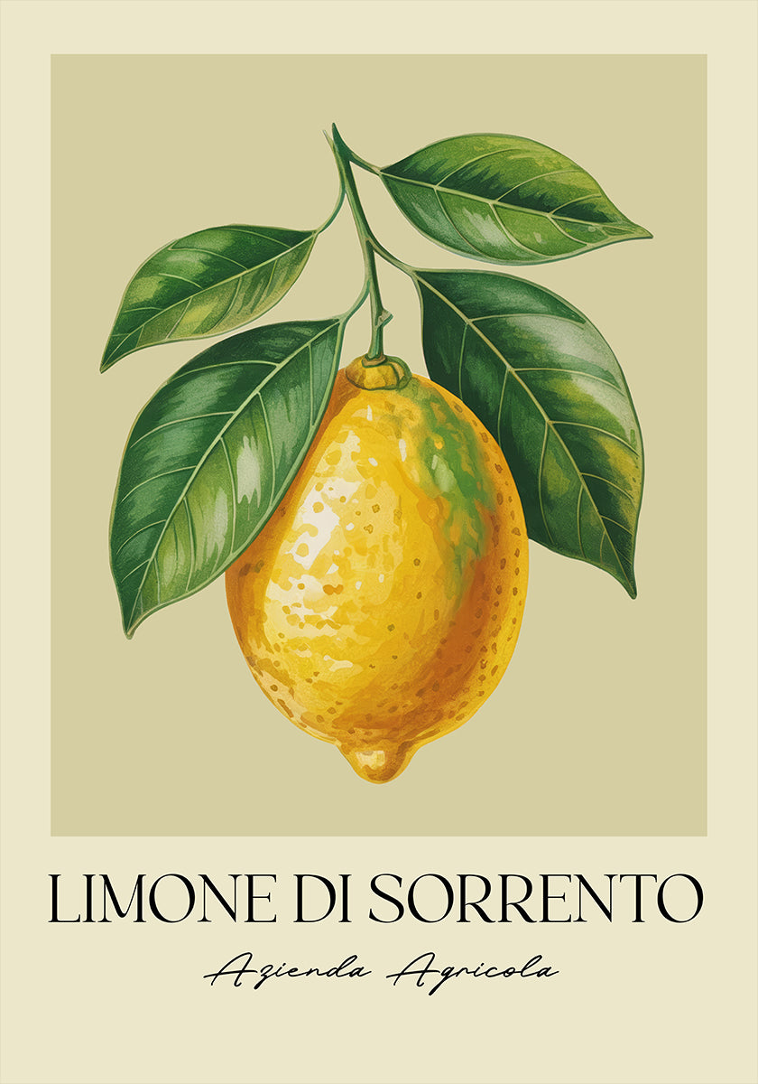 Limone Di Sorrento Plakat