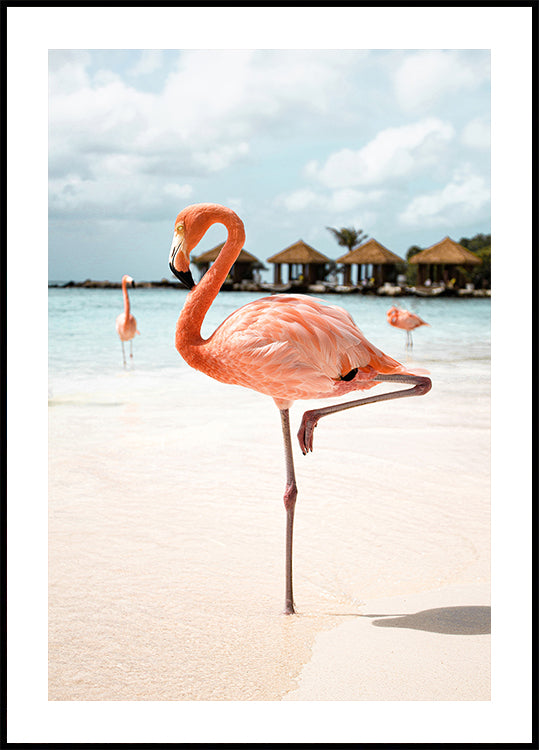 Pink Flamingo Plakat