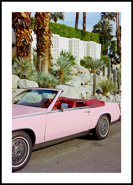 Palm Springs Ride II Plakat