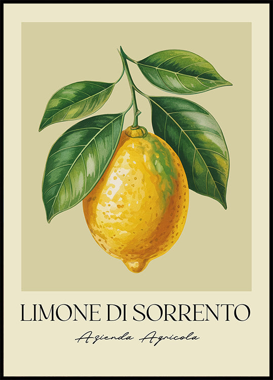 Limone Di Sorrento Plakat