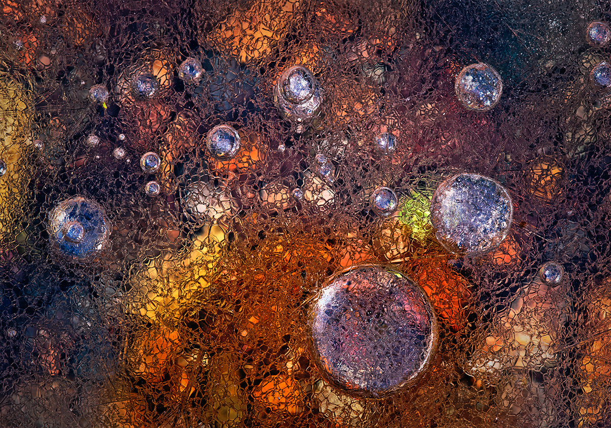 Winter Over Autumn Plakat