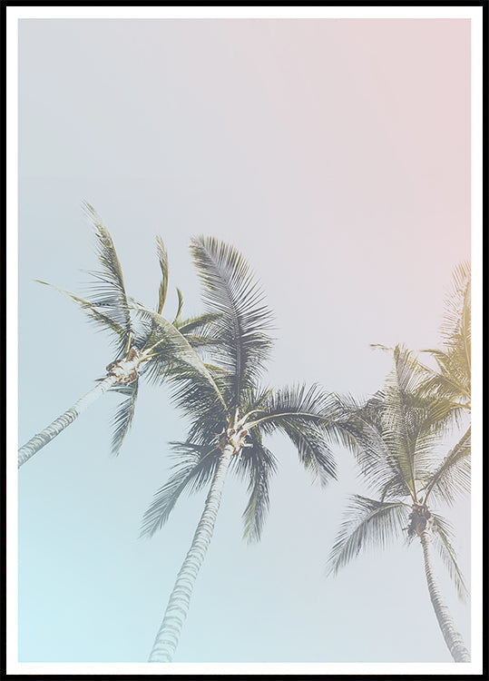 Pastel Palms Bliss Plakat
