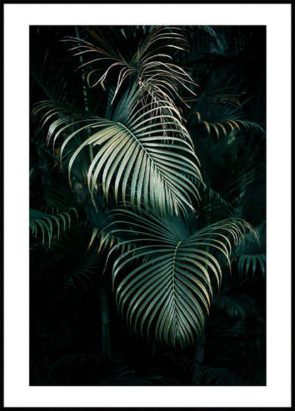 Jungle Palm Leaves Plakat - Posterbox.no