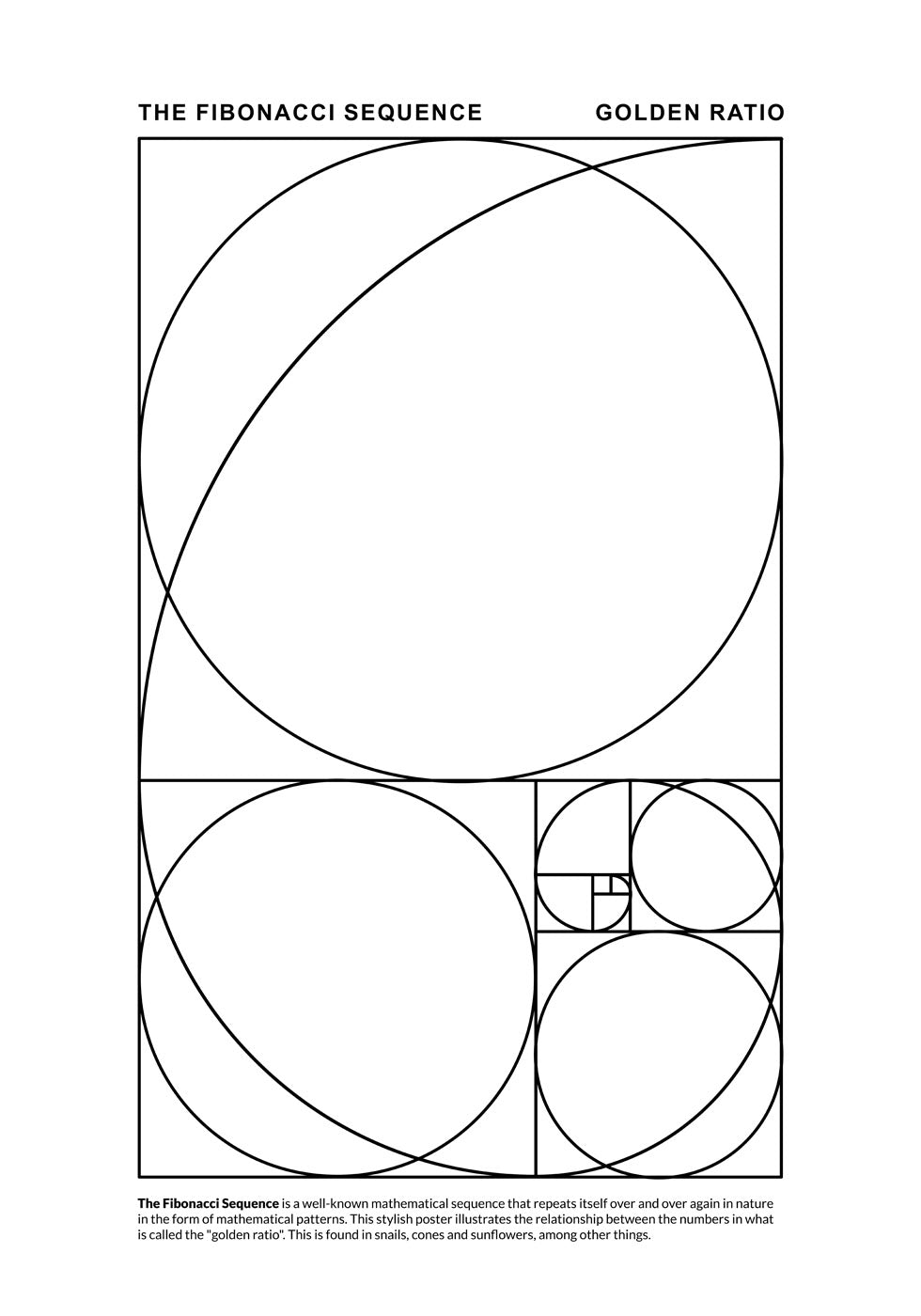 Fibonacci Sequence Plakat - Posterbox.no