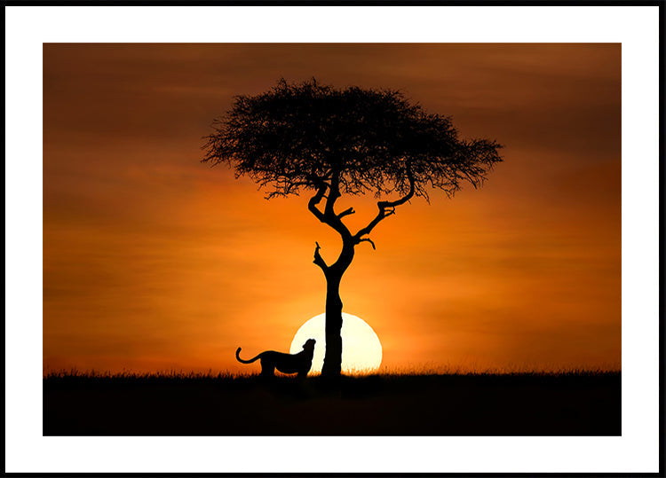 Cheetah at dawn Plakat