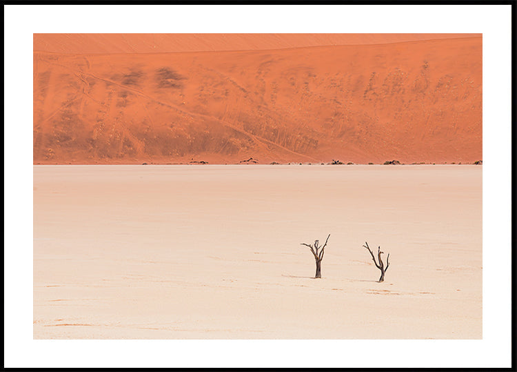 Desert's textures Plakat