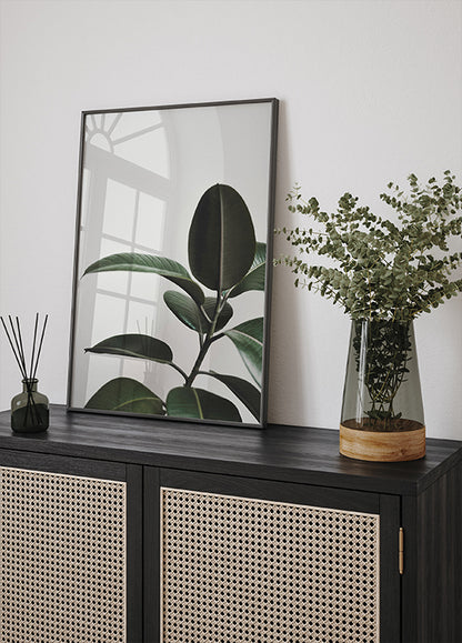 a picture of a plant and a vase on a shelf