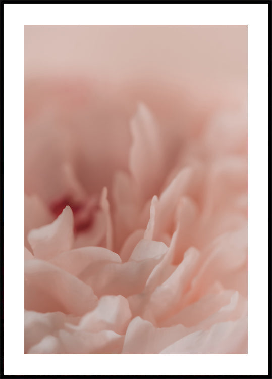 Blossoming No. 2 Plakat