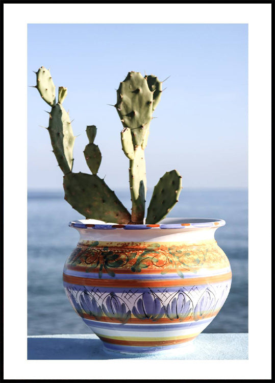 Succulent Vase Seaside Plakat - Posterbox.no