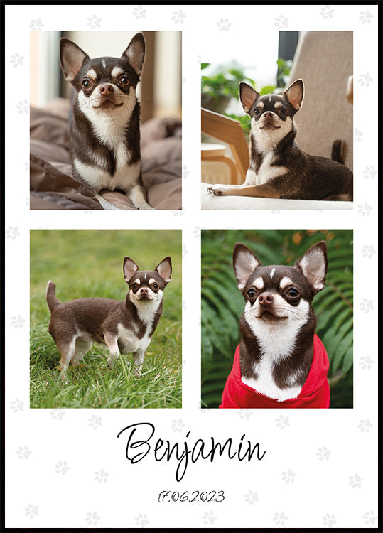 Pet Photo Collage Personal Plakat