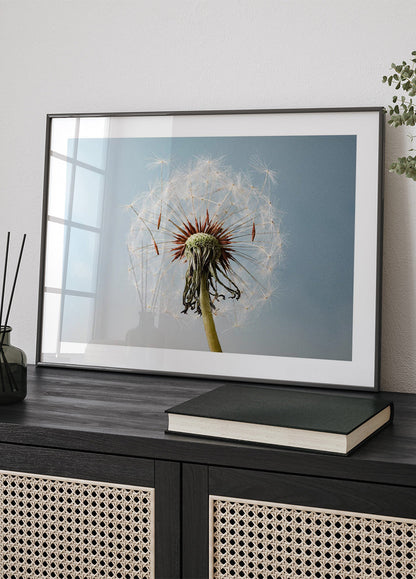 Dandelion Seeds On Wind Plakat - Posterbox.no